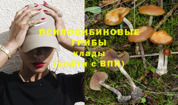 синтетический гашиш Алексеевка