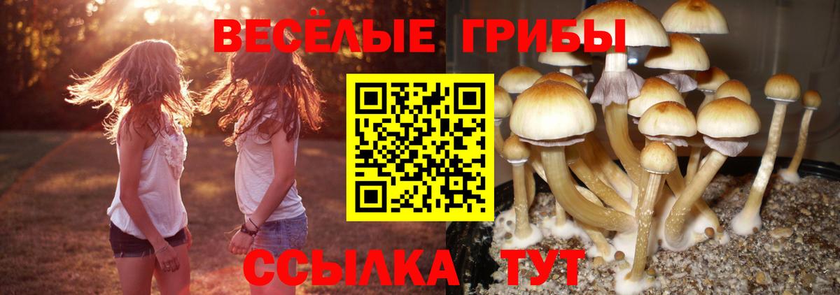 Галлюциногенные грибы прущие грибы Балашов